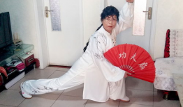 功夫扇视频,传统武术与现代韵律的完美融合